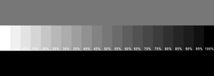 Click to Enlarge