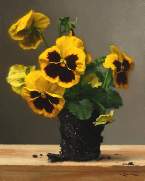 © Steven J. Levin, Yellow Pansies, oil painting of flowers